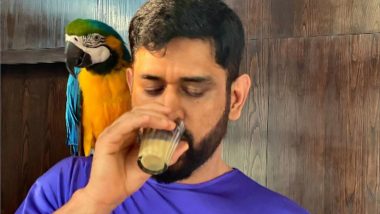 MS Dhoni Seen on ‘Chai’ Date With His ‘Honey’ Blue-and-Yellow Macaw, Wife Sakshi Shares Pictures on Instagram (Check Post)