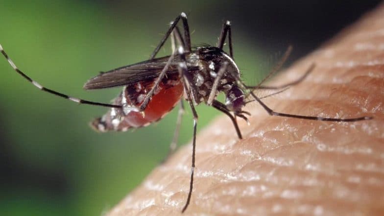 11 Cases of Zika Virus in Kanpur, Including 3 IAF Staff