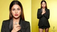 Shehnaaz Gill Becomes Dabboo Ratnani&rsquo;s Muse Once Again, Gets Clicked in a Stunning Black Outfit (View Pic)