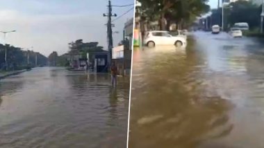 Karnataka Rains: Overflowing Allalasandra Lake Causes Waterlogging in Vicinity of Chikkaballapur Road (Watch Video)