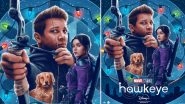 Hawkeye Review: Hailee Steinfeld Makes A Mark, Critics Call the Show MCU&rsquo;s &lsquo;Most Grounded Series&rsquo;