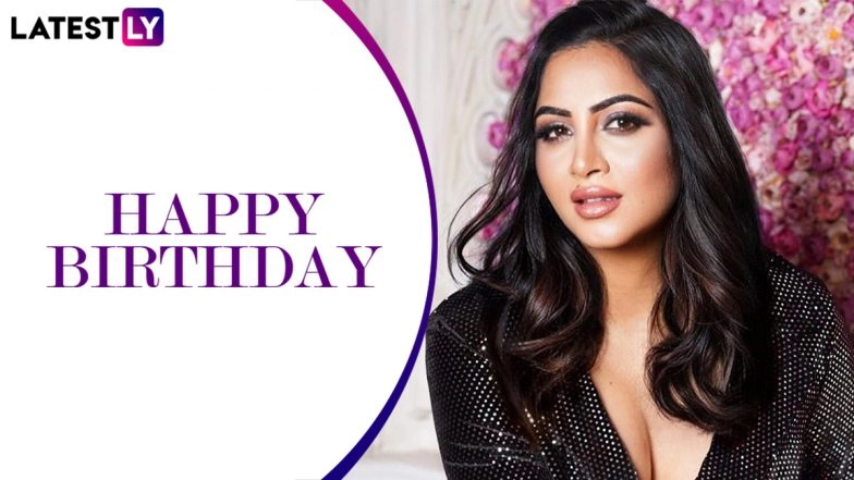 Arshi Khan Birthday Special: Lesser-Known Facts About the TV Star We Bet You Aren&rsquo;t Aware Of!