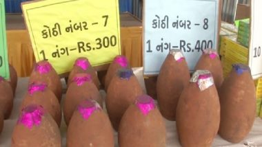 Diwali 2021: 400-Year-Old Method of Making Firecrackers With Clay Revived in Vadodara