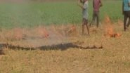 India News | Punjab Farmers Continue to Burn Stubble, Say Govt Has Not Provided Compensation or Equipment to Stop It