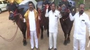 India News | Hyderabad Gears Up for Sadar Festival-a Carnival of Buffaloes