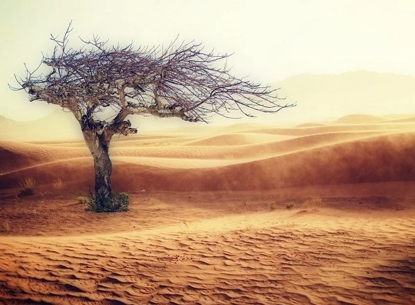 Science News | Scientists Find Warming Temperatures Increasingly Alter Atmosphere's Structure
