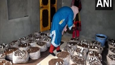 India News | Girls Begin Mushroom Cultivation in J-K's Pulwama to Earn Livelihood
