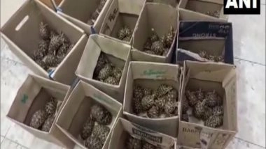 India News | Bengaluru: Police Seize 401 Indian Star Tortoises, One Held