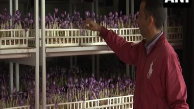 India News | J-K: Advanced Research Station in Pampore Training Farmers to Grow Saffron Indoor