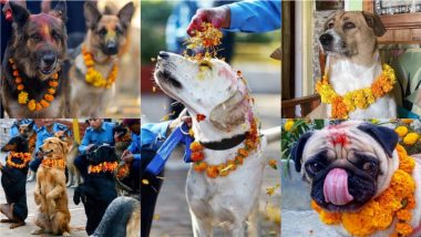 Kukur Tihar 2021 Observed in Nepal, Netizens Share Adorable Photos of Dogs Wearing Flower Garlands and Vermilion on Head!