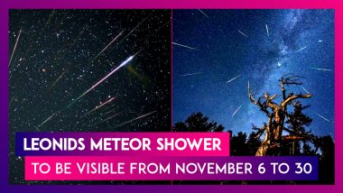 Leonids Meteor Shower To Be Visible From November 6 To 30: All About The Celestial Spectacle