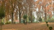 India News | J-K: Mughal Garden Becomes Major Tourist Attraction in Autumn Season