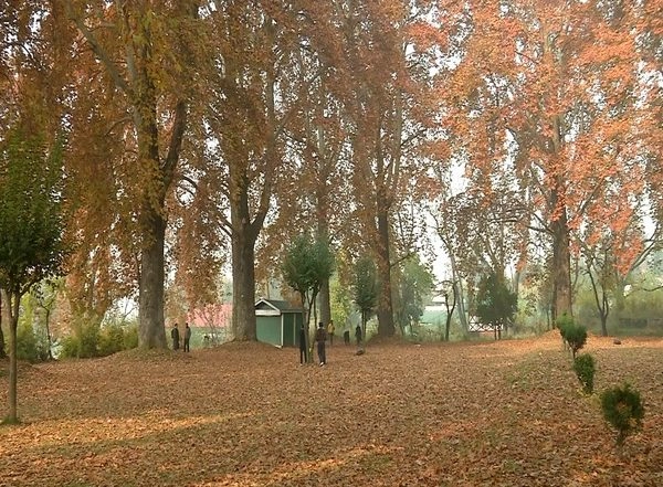 India News | J-K: Mughal Garden Becomes Major Tourist Attraction in Autumn Season