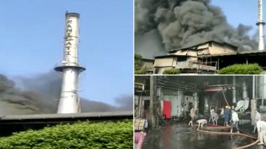 Gujarat: Fire Breaks Out At Rani Sati Dyeing Mill in Surat (Watch Video)
