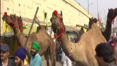 India News | Nihang Sikhs Arrive on Camels at Delhi's Ghazipur Border to Celebrate Centre's Decision to Repeal Three Farm Laws
