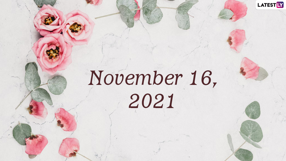 November 16, 2021