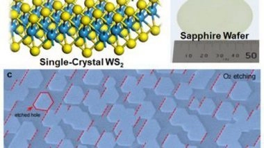 World News | S Korean-Chinese Research Team Develop Next Generation Semiconductor Material 'TMD'