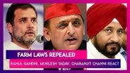 Farm Laws Repealed: Rahul Gandhi, Akhilesh Yadav, Charanjit Channi, Derek O'brien, Call It 'Victory Of Farmers'