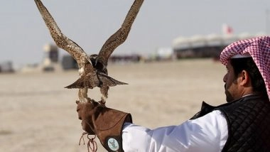World News | Pakistan Issues Hunting Permits to 'Arab Dignitaries' for Protected Bird Species