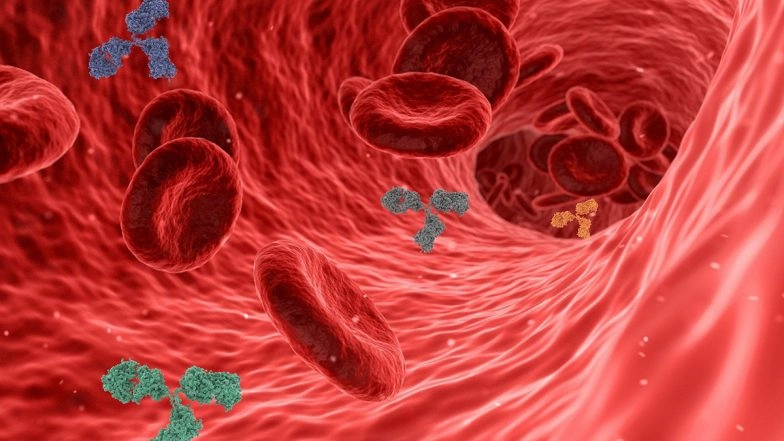 Natural COVID-19 Antibodies Last 7 Months in Children, Says Study