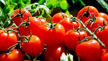 Tomato Prices May Stay High for Another 2 Months, Says CRISIL