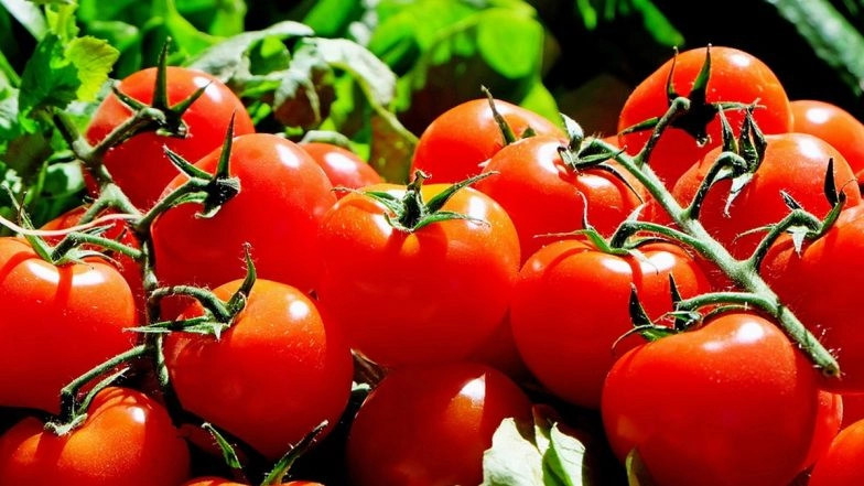 Retail Tomato Prices at Rs 80 Per Kg in Most Cities, Rise Up to Rs 120 Per Kg in South Due to Rains