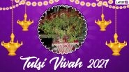 Tulsi Vivah 2021 Dos and Don&rsquo;ts: From Auspicious Direction To Plant Tulsi to Puja Vidhi, Everything You Need To Know About Important Rituals Performed on Dev Uthani Ekadashi