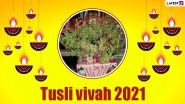Tulsi Vivah 2021 Rangoli Designs: Easy and Beautiful Rangoli Design Patterns and Tutorial Videos To Celebrate Dev Uthani Ekadashi
