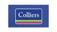 Business News | Colliers Hires India Research Head and Two Senior Industry Leaders to Strengthen India Capability