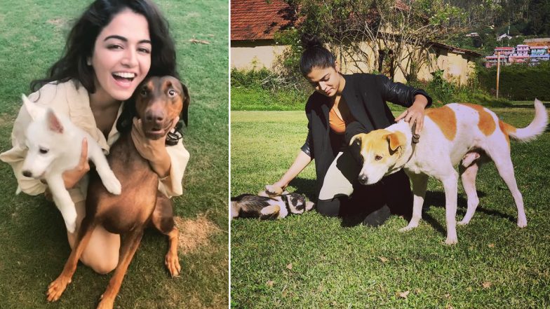 Diwali 2021: Wamiqa Gabbi Urges People to Keep Animals at a Safe Distance When They Burst Crackers