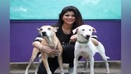 Business News | Doggie Dog World - a Haven for Your Furry Babies