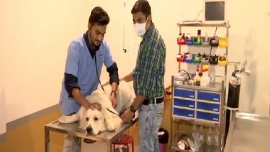 Gujarat Man Shaival Desai Opens India’s First Veterinary Ventilator Hospital in Ahmedabad