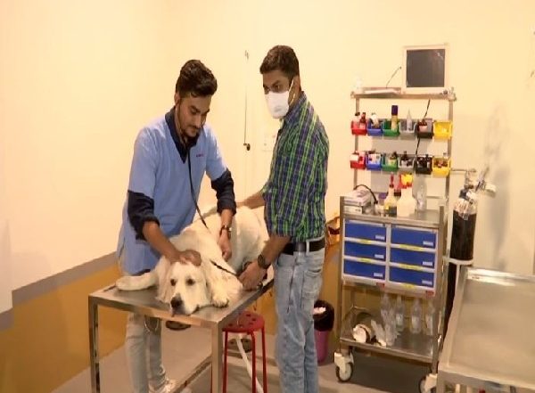 Gujarat Man Shaival Desai Opens India’s First Veterinary Ventilator Hospital in Ahmedabad