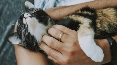 Science News | New Research Finds Soft Food Reduces Chances of Survival for Rescued Animals