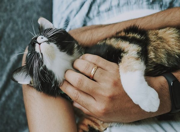 Science News | New Research Finds Soft Food Reduces Chances of Survival for Rescued Animals