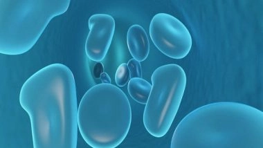 Science News | Study Finds It Takes Cellular Teamwork to Heal Intestine