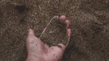 Science News | Warmer Soil Stores Less Carbon: Study