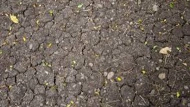 World News | Droughts in East Africa Require Immediate Actions to Avert Famine