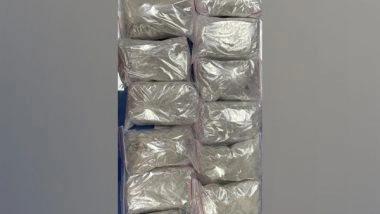 India News | Central Bureau of Narcotics Seizes over 13 Kg Purported MD Powder in Rajasthan's Chittorgarh