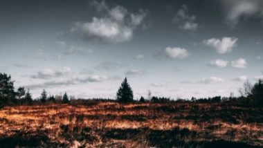 Science News | Study Finds Forest Fires Linked to Low Birth Weight in Newborns