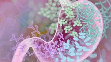 Health News | Study Identifies Distinct Gut Bacterial Profile Responsive to IBS Dietary Therapy