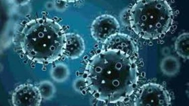 Health News | Study Finds Herpes Checks into the Nervous System to Last Long