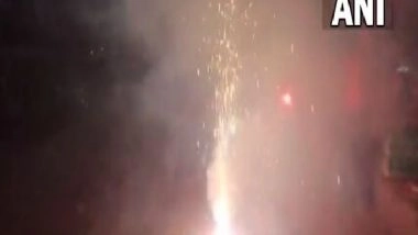 India News | Despite Ban, People in Delhi Burst Firecrackers on Diwali