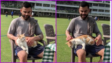 Virat Kohli Plays With a Cat During a Practice Session (See Pictures)