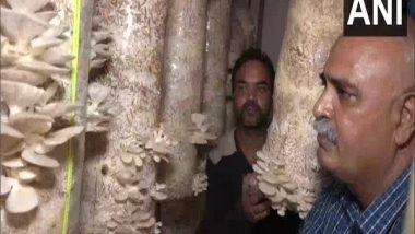 India News | Impact of Participation of Women, Youngsters in Mushroom Farming in J-K's Udhampur
