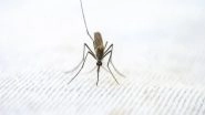 Health News | Study Finds Unexpected Antibody Type in People with Malaria Infections