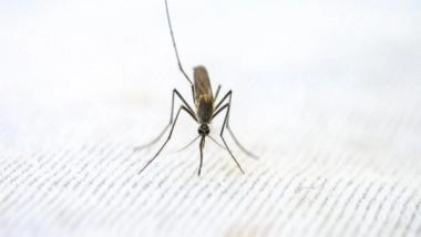 Health News | Study Finds Unexpected Antibody Type in People with Malaria Infections