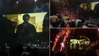 Antim: Salman Khan Requests Fans Not to Burst Crackers in Theatres, After Video Of Them Doing So Goes Viral