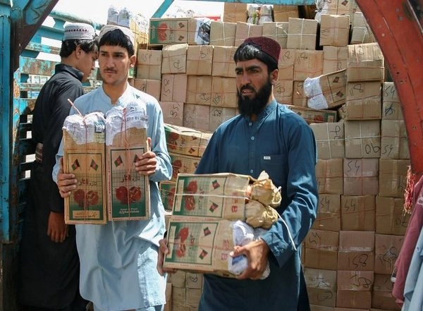 World News | Afghanistan: Kandahar Exported 50,000 Tons of Fruits to India, Pakistan This Year
