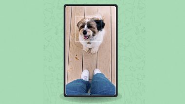 Google Introduces ‘Pet Portraits’ Feature That Allows To Search Art Look-Alikes for Your Pet